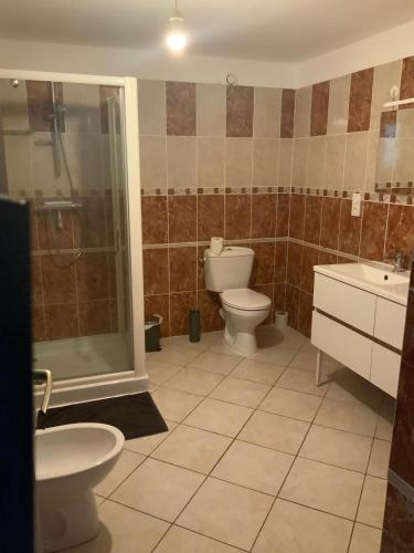 une salle de bain avec toilettes, douche et lavabo dans l'établissement Gite belle vue, à Olargues