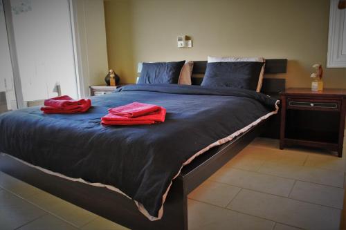 - un grand lit avec 2 serviettes rouges dans l'établissement Villa Marina, à Paphos
