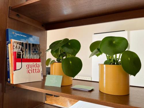 Easy Isola, for an easy stay photo 10
