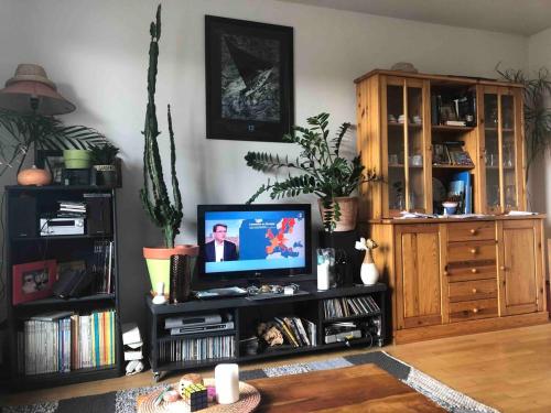 - un salon avec une télévision dans un centre de divertissement dans l'établissement Appartement plein centre avec place de parking, à Fougères