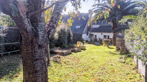 une cour avec un palmier et une maison dans l'établissement Maison avec vue mer à Saint-Pol-de-Léon, à Saint-Pol-de-Léon