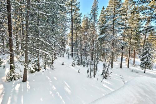 Bear Haus - Sledding At Cabin - Forest Views - Foosball v zimě