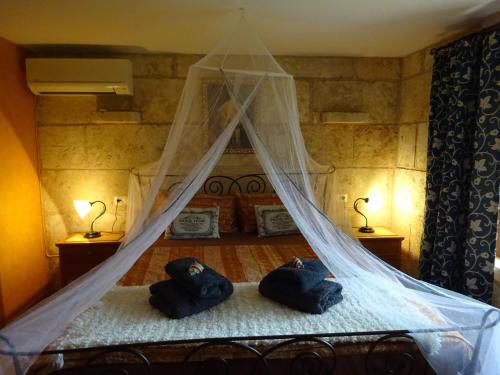 a bedroom with a bed with a mosquito net at Finca La Vida Apartment Boungavilla in Llucmajor