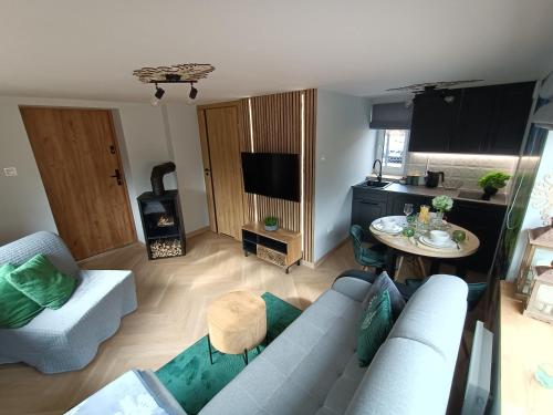 TV a/nebo společenská místnost v ubytování Apartament Zacisze w Białym Dunajcu, Sauna, Kominek, Bezpłatny parking