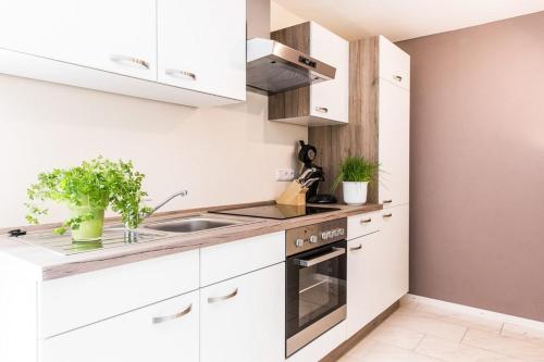 a kitchen with white cabinets and a sink at Wildgrün Mini Lodge 8a in Pfronten