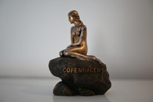 Casa Copenhagen - Palmarejo