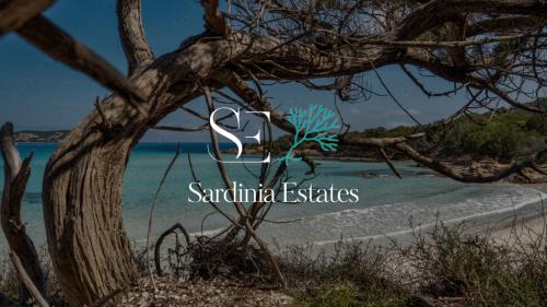 un albero di fronte a una spiaggia con le parole "tenuta santilli" di Suite Fronte Mare - Brezza Dorata a Porto Rotondo