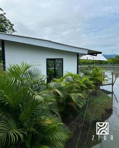 a house with a lot of plants in front of it at Ziwa Ecohotel Roldanillo Valle - Cabaña Fika in Roldanillo
