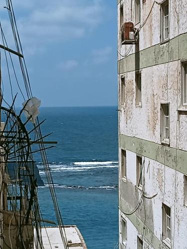 الاسكندرية