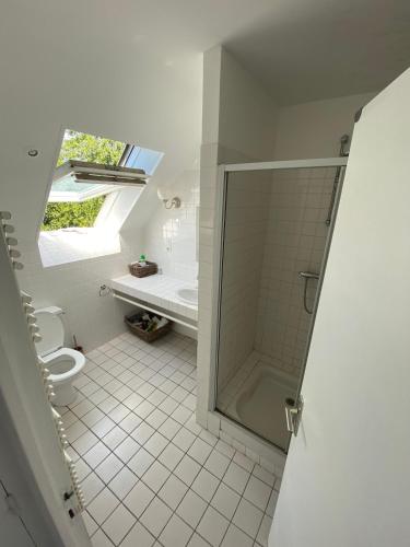 une salle de bain avec une douche avec des toilettes et un lavabo dans l'établissement Ker Manou St Cast le Guildo 900m des plages et du Golf, à Saint-Cast-le-Guildo