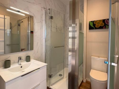 une salle de bain avec une douche, un lavabo et des toilettes dans l'établissement Apartment Erretegia, à Capbreton