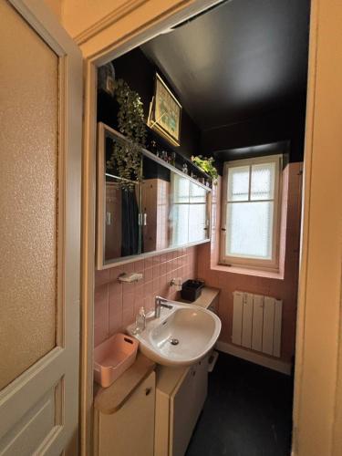 une salle de bain avec un lavabo et des toilettes dans l'établissement Appartement familial hyper bien situé, à Annecy