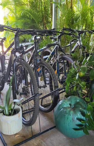 a group of bikes parked next to some plants at Barefoot Bungalow 23 Lake Bennett -private pontoon in Lake Bennett