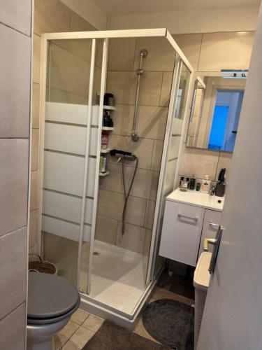 une petite salle de bain avec douche et toilettes dans l'établissement T2 location estivale, à Ajaccio