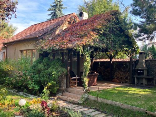 Κήπος έξω από το GardenHouse