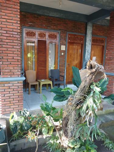 a fallen tree on a porch of a house at Dannyjuljol homestay in Polo