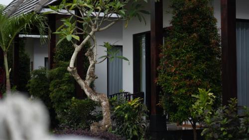 a building with trees and plants in front of it at Umahita Lodge Penida in Toyapakeh
