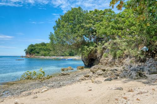 a sandy beach with trees and the ocean at Pilar Pilapil Beach House in Malapascua in Daanbantayan