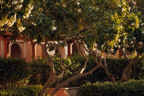 Jardín al aire libre en One&Only The Palm Dubai