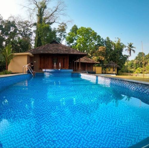 a large blue swimming pool with a hut in the background at Sparrow Vale Resort in Kotamangalam