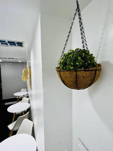 a plant in a hanging basket on a wall at Lugar Bonito Hotel in Boracay