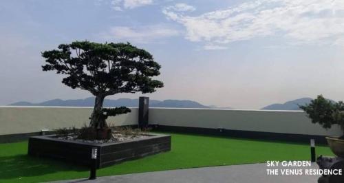 a tree sitting on top of a green lawn at Venus Home Retreat - Pool,Gym,Playground,Rooftop Garden View in Kampong Lumut Kiri