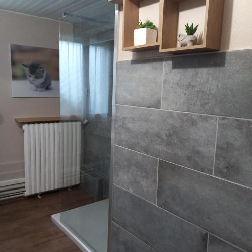 La salle de bains est pourvue d'un mur en carrelage gris et d'un radiateur. dans l'établissement La ferme des aristochats, à Blicourt