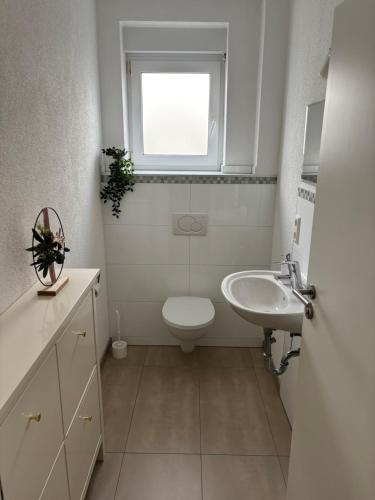 a bathroom with a toilet and a sink and a window at Aarberg Lounge in Waldshut-Tiengen
