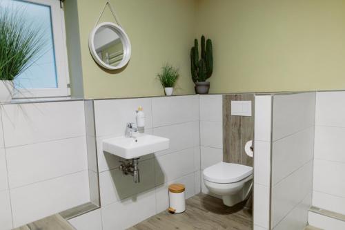 a bathroom with a toilet and a sink at Charmante Ferienwohnung mit Sauna und Terrasse in Winterberg