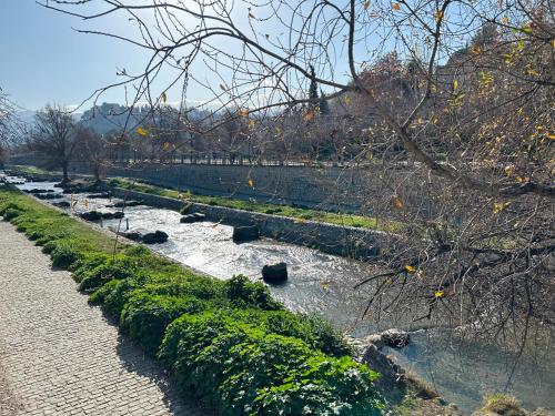 Centrico junto al rio genil