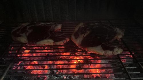 Kemudahan BBQ tersedia untuk tetamu di rumah percutian