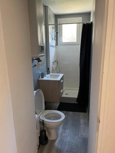 une salle de bain avec des toilettes blanches et un lavabo dans l'établissement gite du Breuchin trois, à La Longine