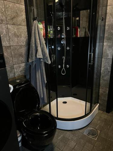 a bathroom with a shower with a black toilet at Kivisalmi aitta in Viitasaari
