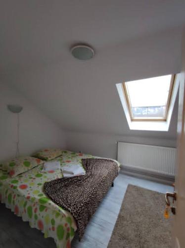 a bedroom with a bed in a room with a window at Casa Daya in Topliţa