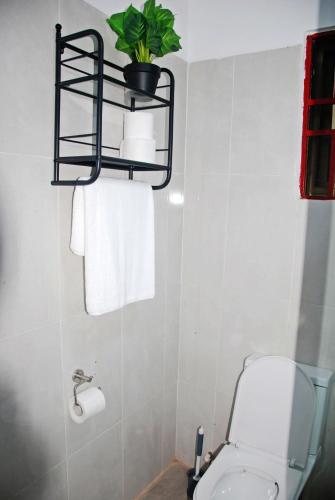 a bathroom with a toilet and a plant on a shelf at The crown in Oyarifa