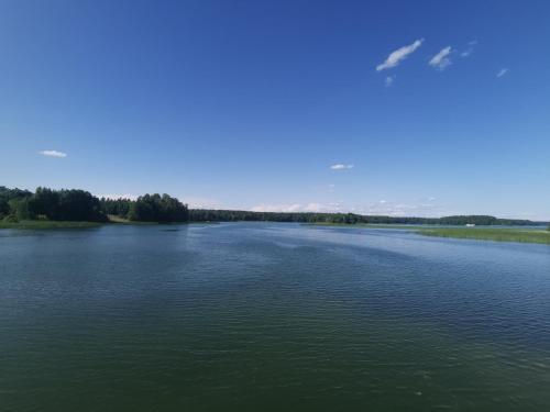 a large body of water with trees in the background at Ziołowy Apartament in Augustów
