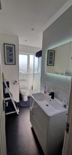 a bathroom with a white sink and a toilet at Unique Exmouth Family Holiday Home Close to Beach & Town in Exmouth