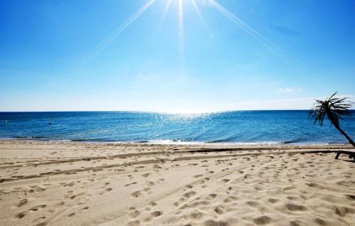 un palmier installé sur une plage donnant sur l'océan dans l'établissement 4 Bedroom Cozy Home In Palau-Del-Vidre, à Palau-del-Vidre