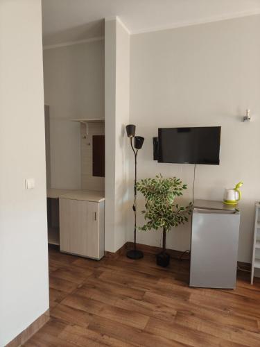 a living room with a television and a potted plant at Pokoje Gościnne Rozbark in Bytom