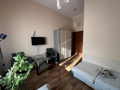 a living room with a couch and a tv at Pokoje Gościnne Rozbark in Bytom