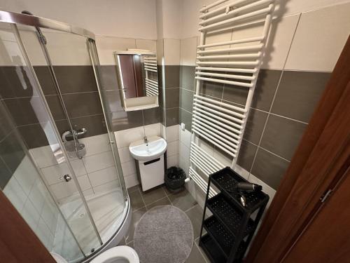 a bathroom with a shower and a toilet and a sink at Pokoje Gościnne Rozbark in Bytom