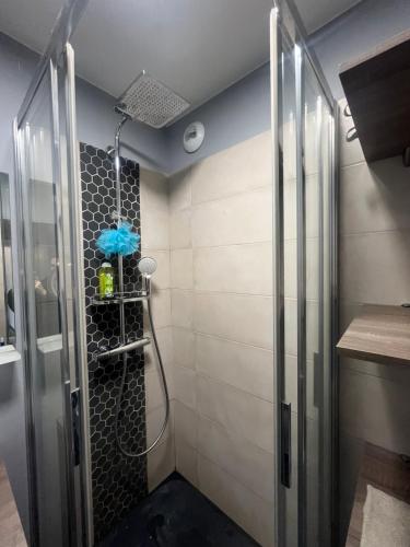 une douche dans une salle de bain avec une porte vitrée dans l'établissement T3 Lumineux et convivial, Parking Privé, à Montpellier
