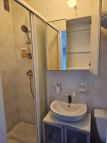 une salle de bain avec un lavabo et une douche dans l'établissement Studio centre ville-Proche Paris, à Villejuif
