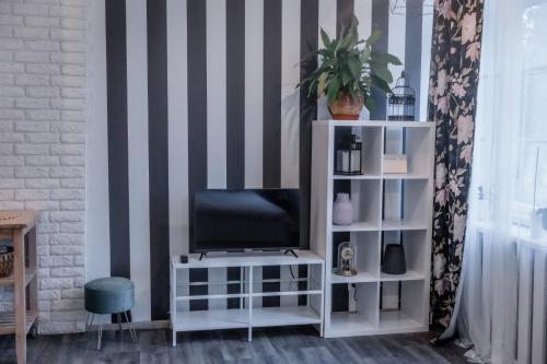 Televisyen dan/atau pusat hiburan di Studio type apartment in Ķegums