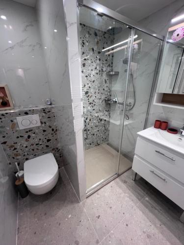 une salle de bain avec une douche, des toilettes et un lavabo dans l'établissement Studio Apartment - Close to Croisette & Martinez, à Cannes