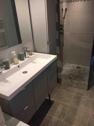 une salle de bain avec un lavabo blanc et une douche dans l'établissement Maison rénovée dans un corps de ferme, à Le Puy-Notre-Dame