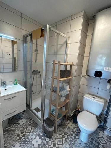 une salle de bain avec une douche, des toilettes et un lavabo dans l'établissement Pine 5, à Quend-Plage