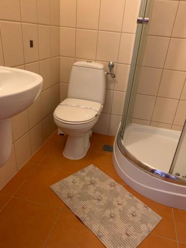 a bathroom with a toilet and a sink and a shower at Pensjonat Melodia in Pobierowo