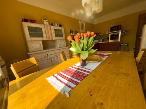 Kuchyň nebo kuchyňský kout v ubytování Ferienwohnung Fläming