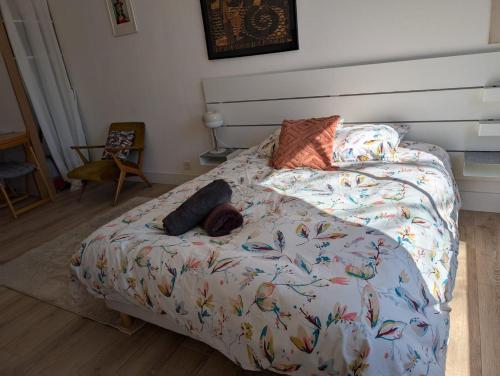 - un lit avec un chien dans une chambre dans l'établissement Studio calme- Cité de l'Espace - Côte Pavée, à Toulouse